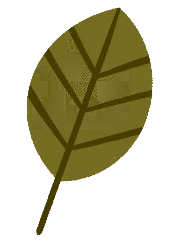 Green Leaf Green Leaf